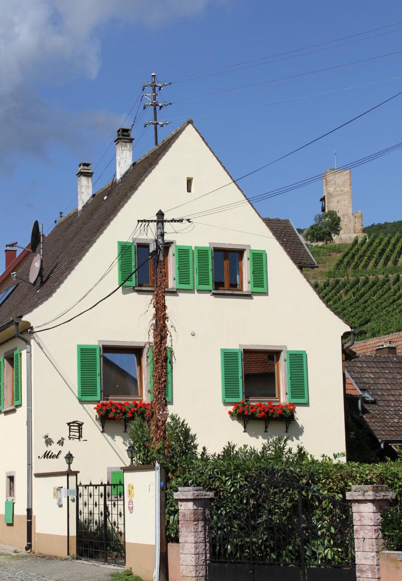Les Gites 2-4 Pers Remy Herold Katzenthal Exteriör bild