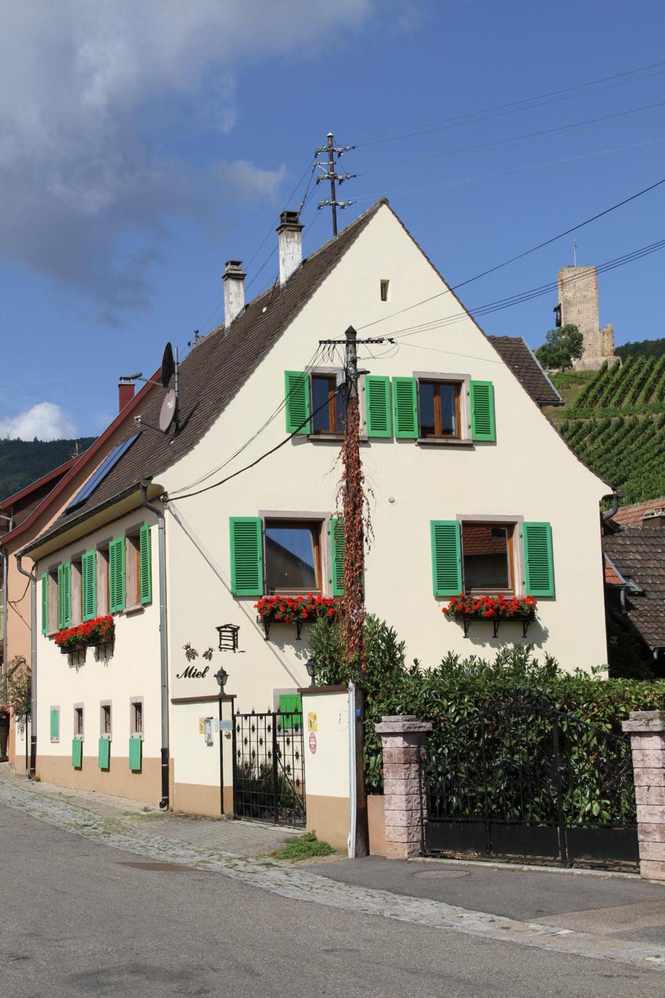 Les Gites 2-4 Pers Remy Herold Katzenthal Exteriör bild